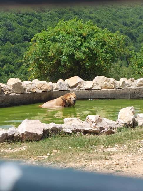 From Skopje: Kosovo in a Day – Prishtina, Monastery & Bears - Transportation value: Skopje to Kosovo made simple