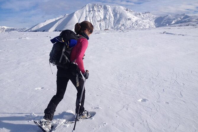 Hiking adventure in Sharri - The hike itself: 12 km, up to about 2500 m, and a view break that matters