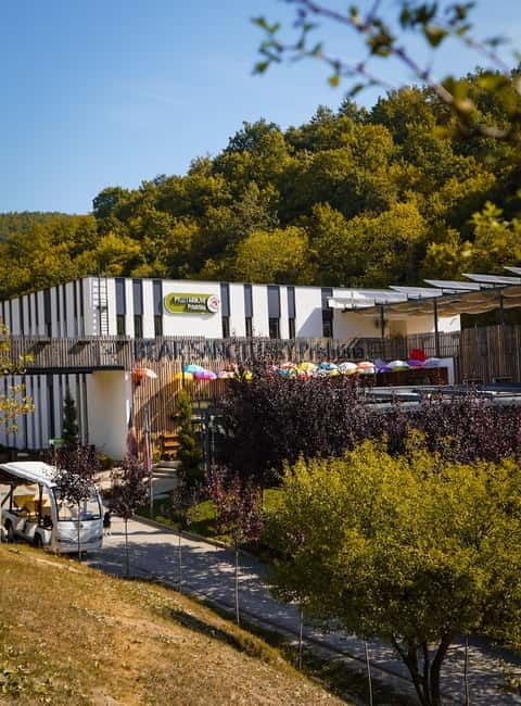 Kosovo: Bear Sanctuary Prishtina, (guided tour & shuttle) - Key things you will notice at Bear Sanctuary Prishtina