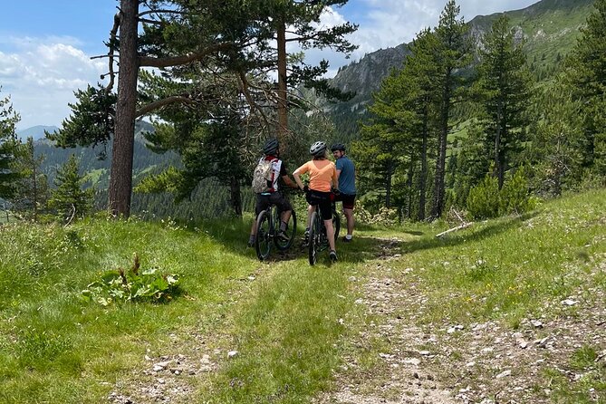 Mountain Biking Tour - Price and Value: Is $145.12 a Good Deal?