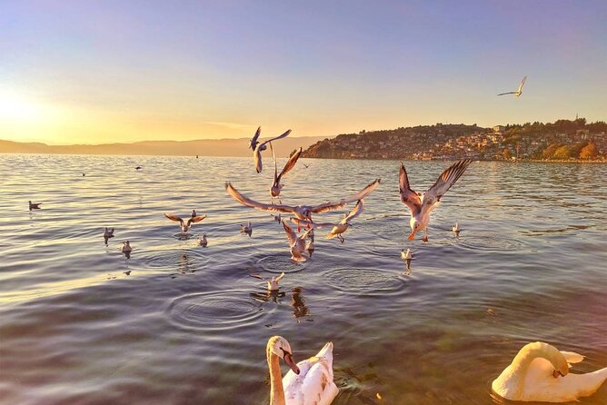 Ohrid one day trip from Pristina - St. Clement Square to St. Sophia: start with the artistic East-West crossroads