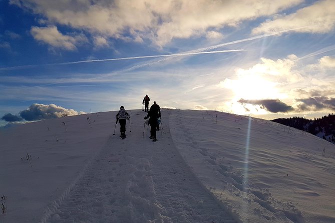 Snowshoeing fun in Kosovo - Rugova Canyon in winter: what that 1-hour stop feels like